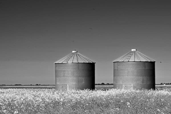 Breaking Down Data Silos in Construction